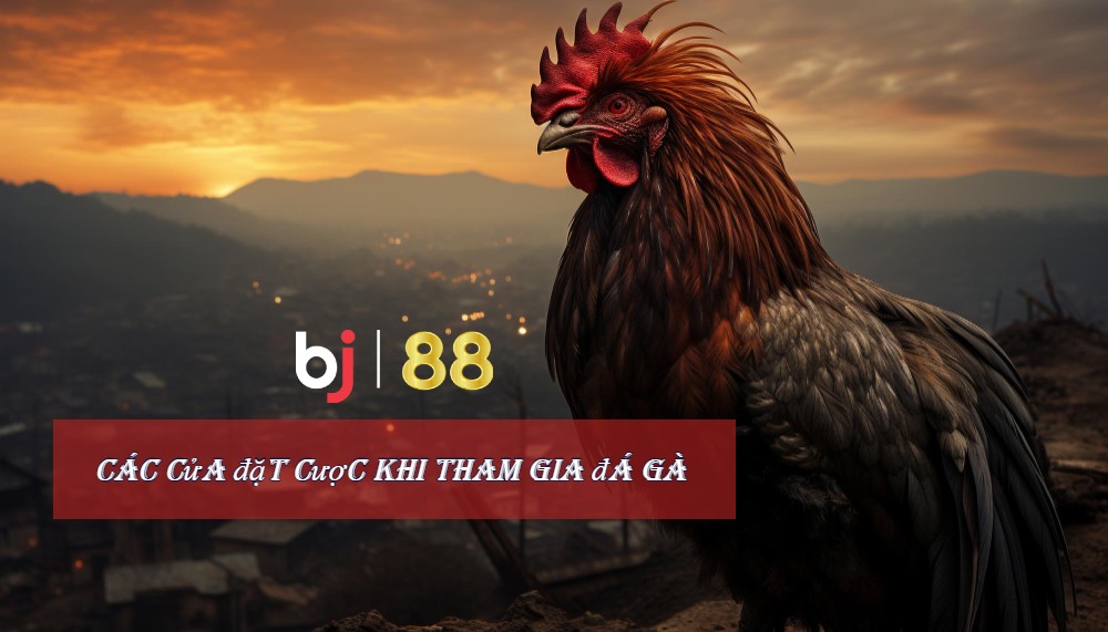 BJ | 88 – Sảnh Cược Đông Thành Viên Tham Gia Nhất 